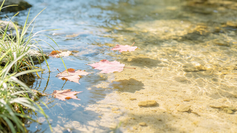 畜牧養(yǎng)殖、石油化工、水產(chǎn)養(yǎng)殖推薦選用！便攜式快速水質(zhì)檢測(cè)儀靠譜之選